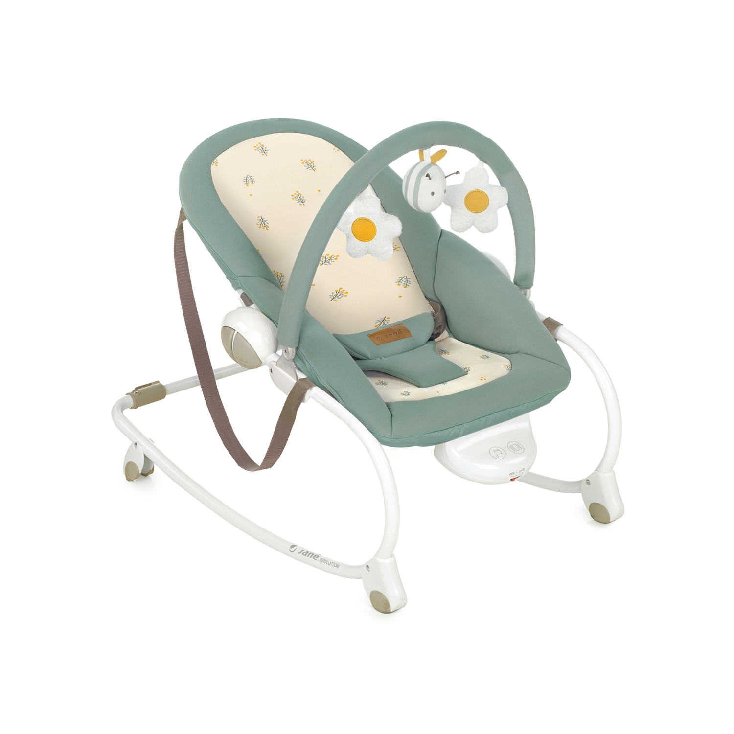 6116_U78_evolution_botanic